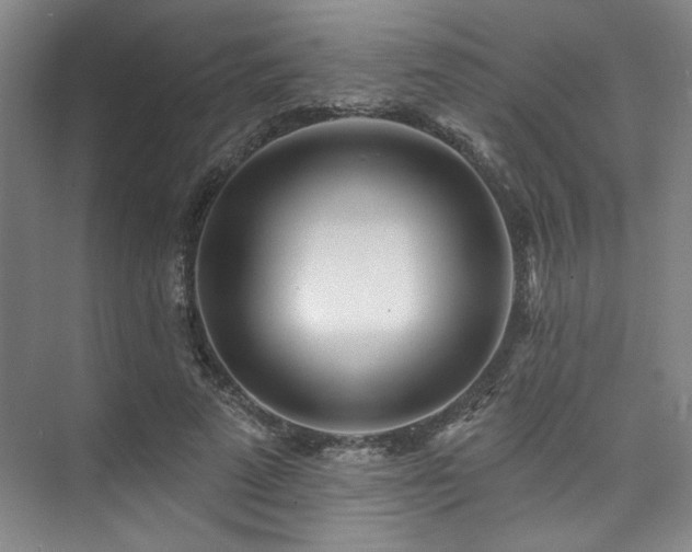 X0000073760689200608031534