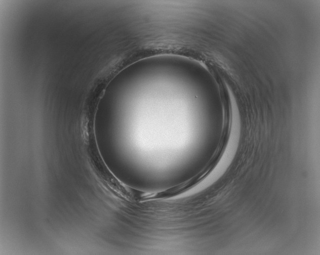 X0000073760692200608031534