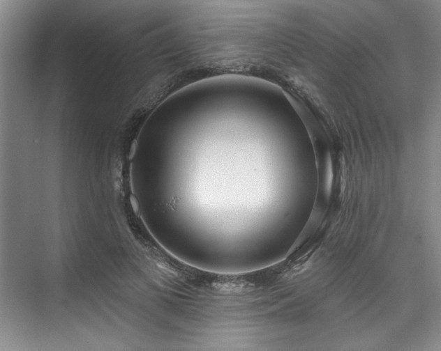 X0000073760693200608031534