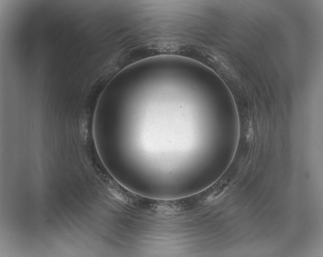 X0000073760697200608031534