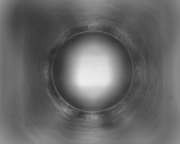 X0000073760698200608031534