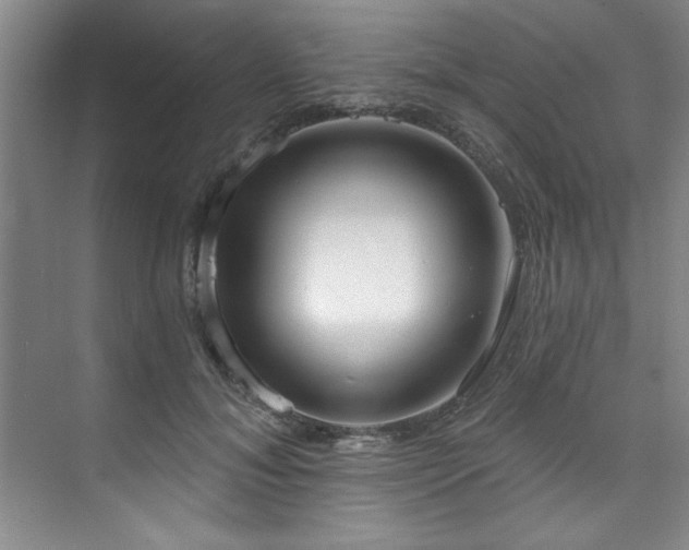 X0000073760700200608031534