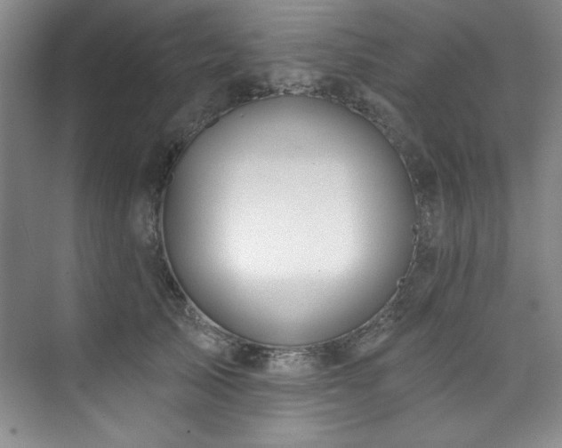 X0000073760705200608031534