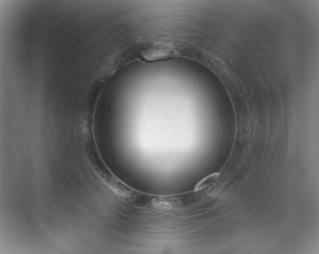 X0000073760706200608031534