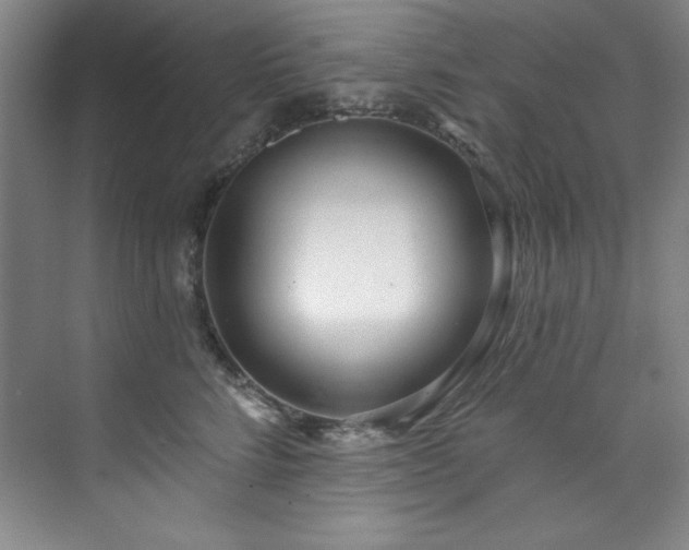X0000073760712200608031534