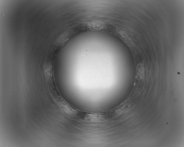 X0000073760713200608031534