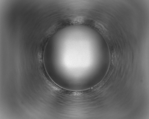 X0000073760714200608031534