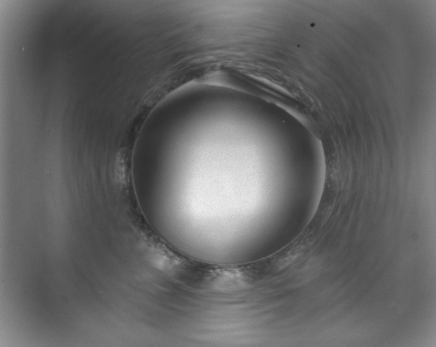 X0000073760715200608031534