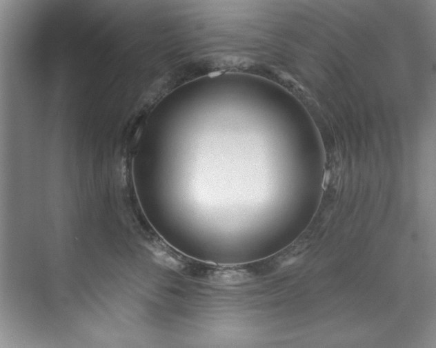 X0000073760716200608031534