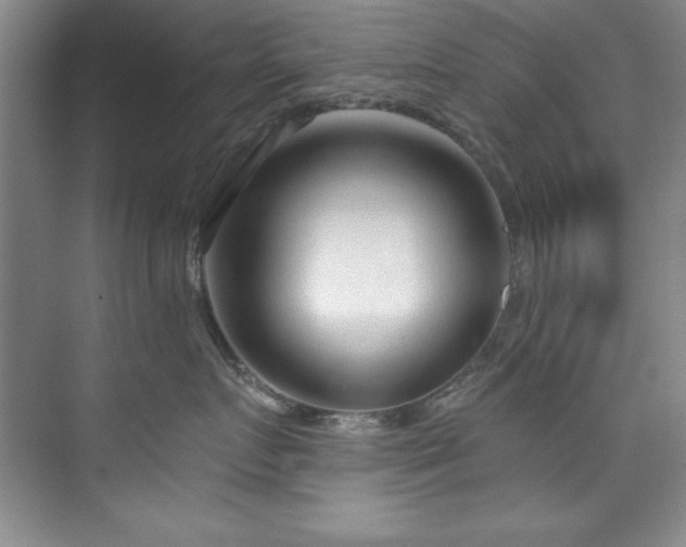 X0000073760719200608031534
