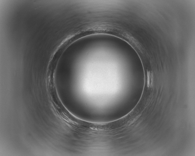 X0000073760723200608031533
