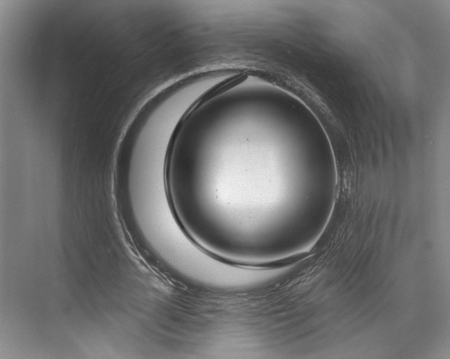 X0000073760724200608031533