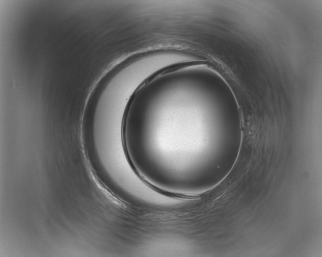 X0000073760726200608031533