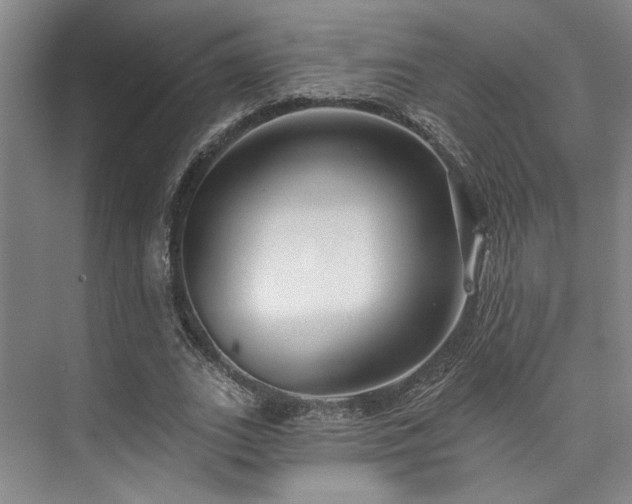 X0000073760727200608031533