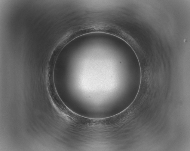 X0000073760730200608031533