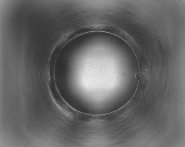X0000073760734200608031533
