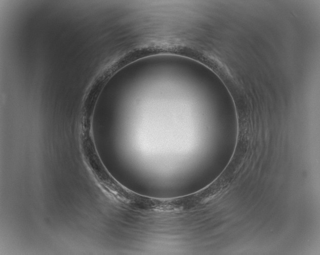 X0000073760736200608031533