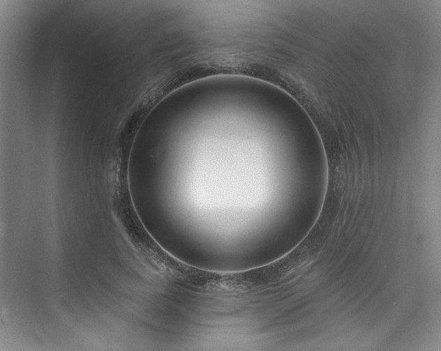 X0000073760739200608031533