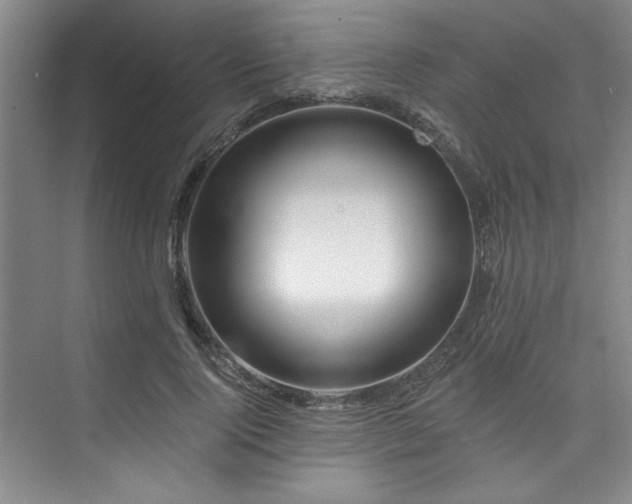 X0000073760740200608031533