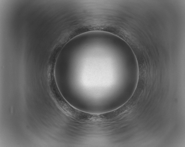 X0000073760742200608031533
