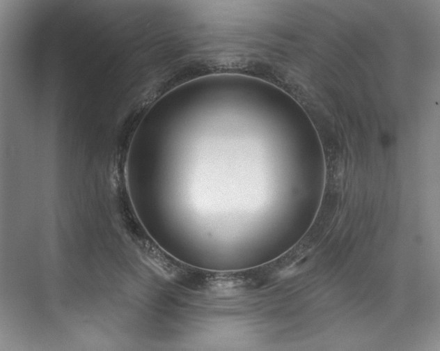 X0000073760746200608031533