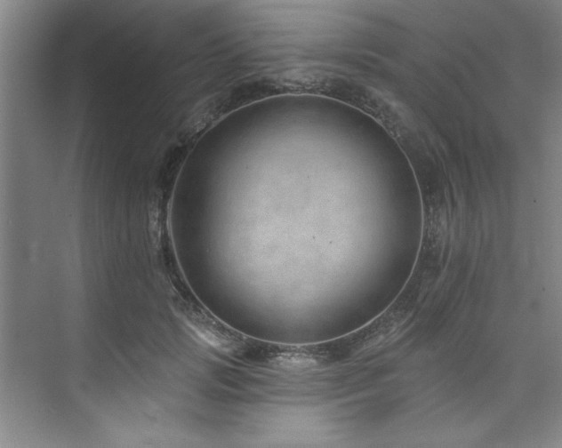 X0000073760749200608031534