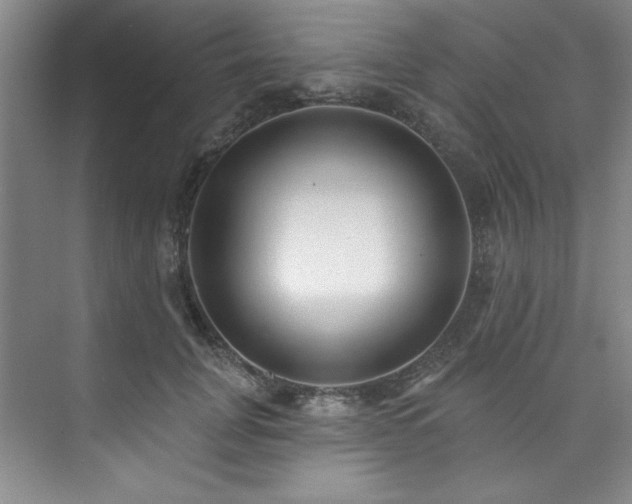 X0000073760751200608031534