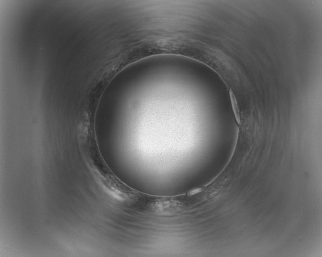 X0000073760752200608031534