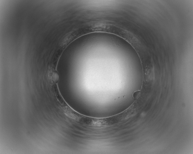 X0000073760753200608031534
