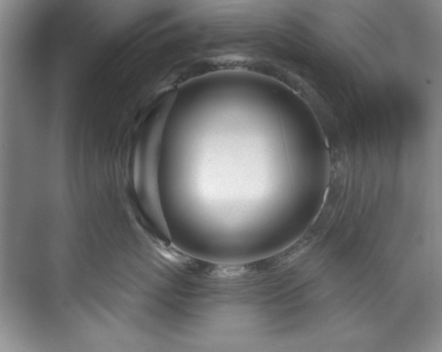 X0000073760767200608031534