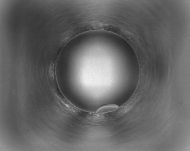 X0000073760768200608031534