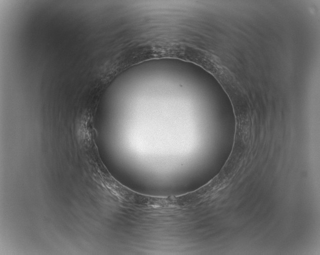 X0000073760770200608031533