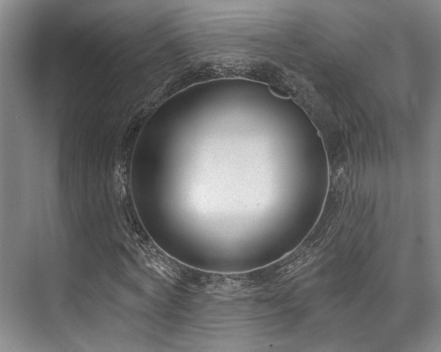 X0000073760772200608031533