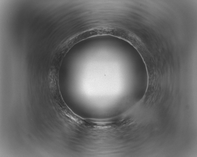 X0000073760773200608031533