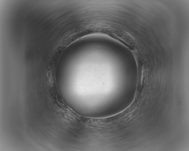 X0000073760774200608031533