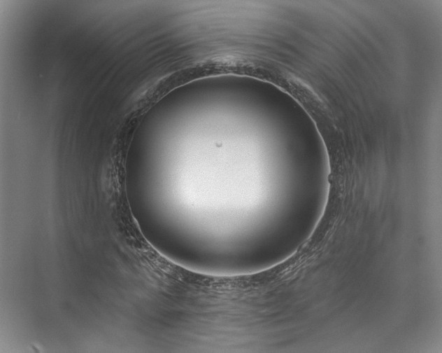 X0000073760776200608031533
