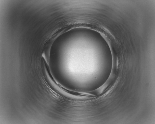 X0000073760777200608031533