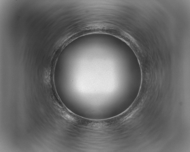 X0000073760778200608031533