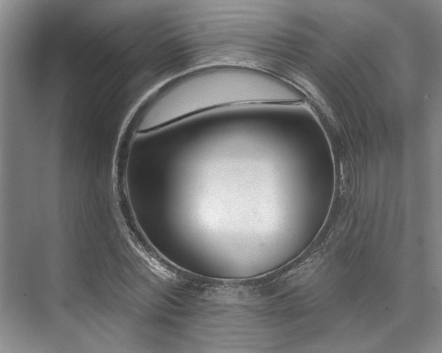 X0000073760780200608031533