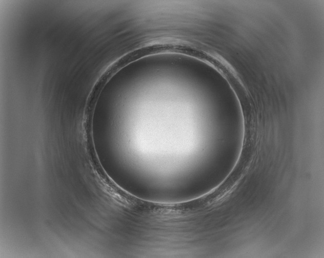 X0000073760783200608031533
