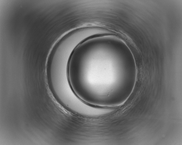 X0000073760784200608031533