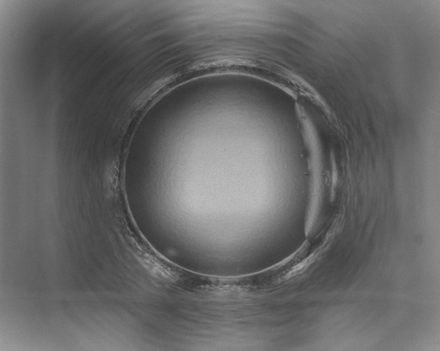X0000073760785200608031533