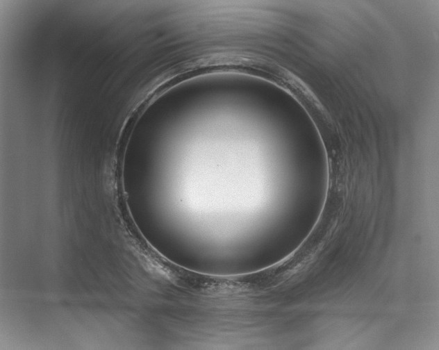 X0000073760786200608031533