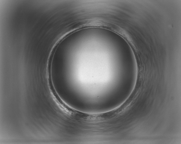 X0000073760795200608031533