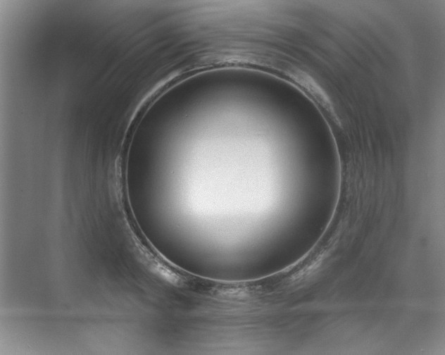 X0000073760798200608031533