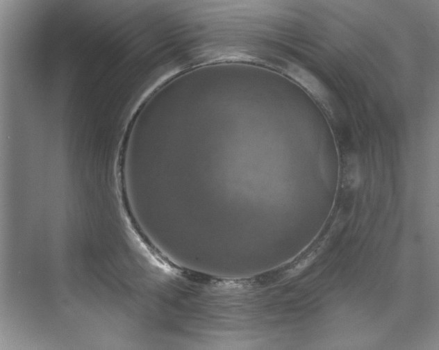 X0000073760806200608031532