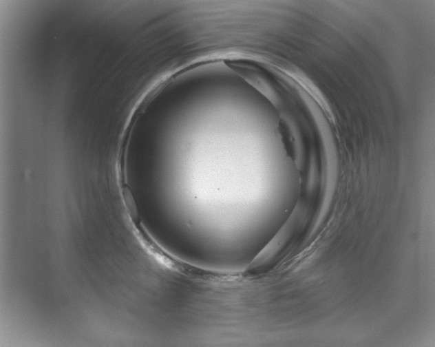 X0000073760813200608031532
