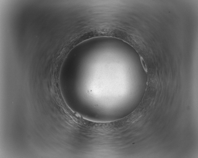 X0000073760817200608031531
