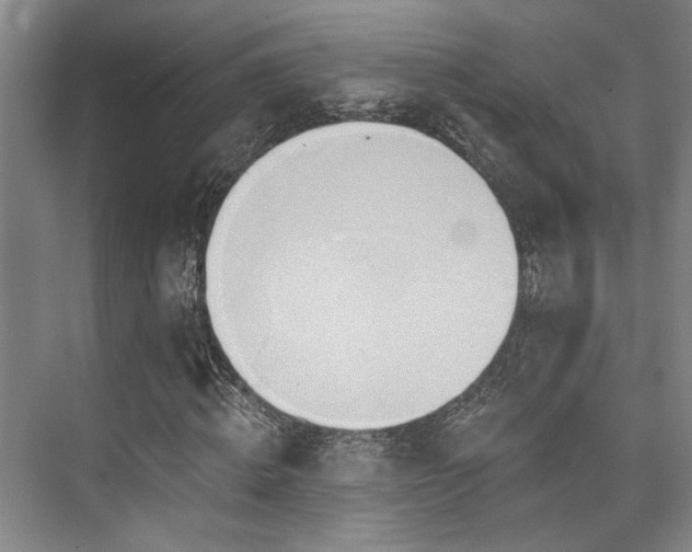 X0000073760820200608031531