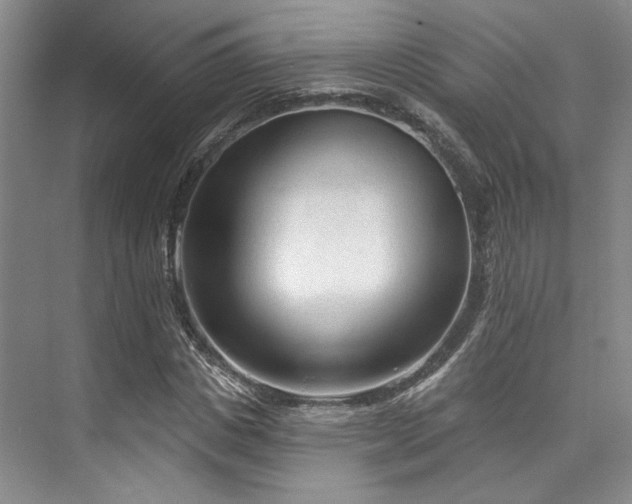 X0000073760825200608031532
